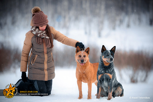 Открыть в новом окне. Пара Littlewaco Flame Tree и Windwariors Double Ace - Флэйм и Эйс